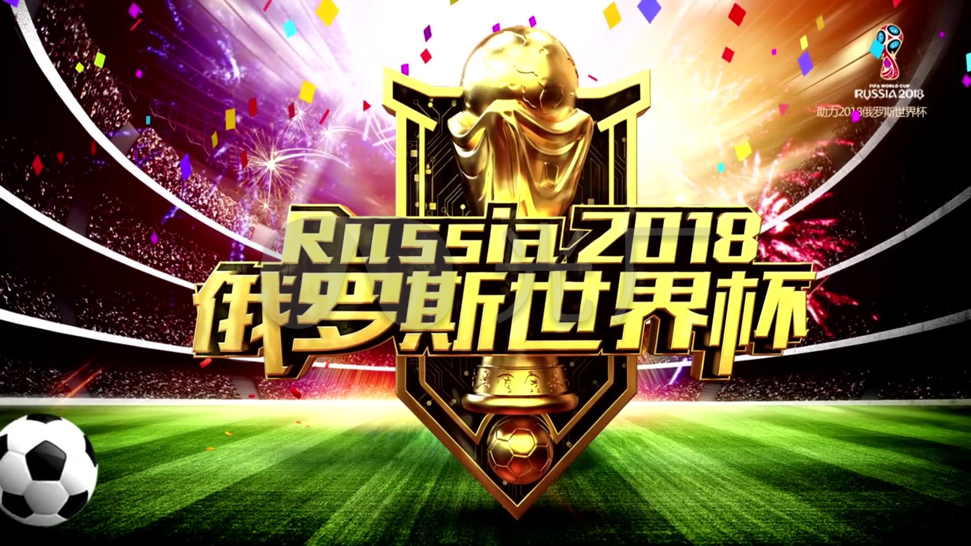 关节外侧损